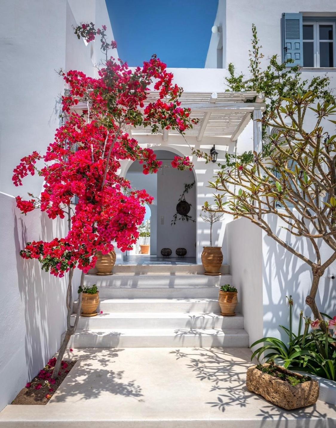 Anita Rooms & Suites Milos Adamantas  Exterior foto